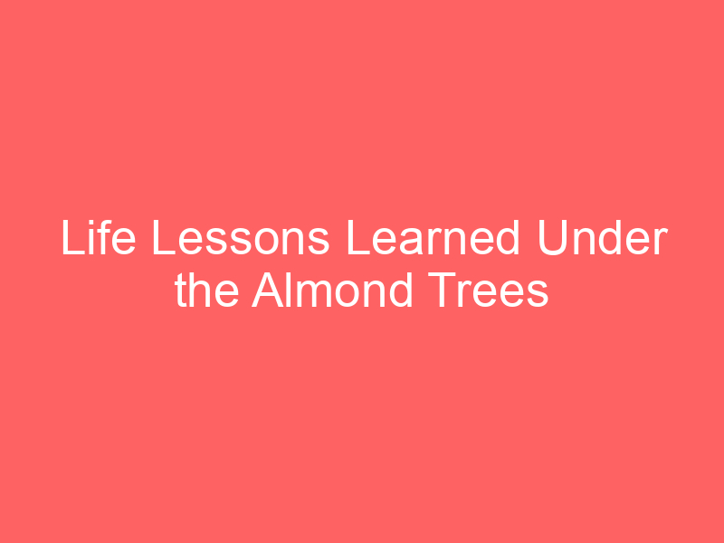 Life Lessons Learned Under the Almond Trees